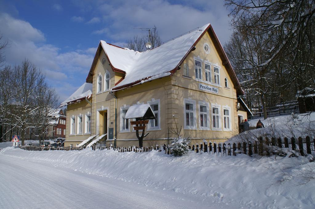 Penzion Haji Janov nad Nisou Zewnętrze zdjęcie