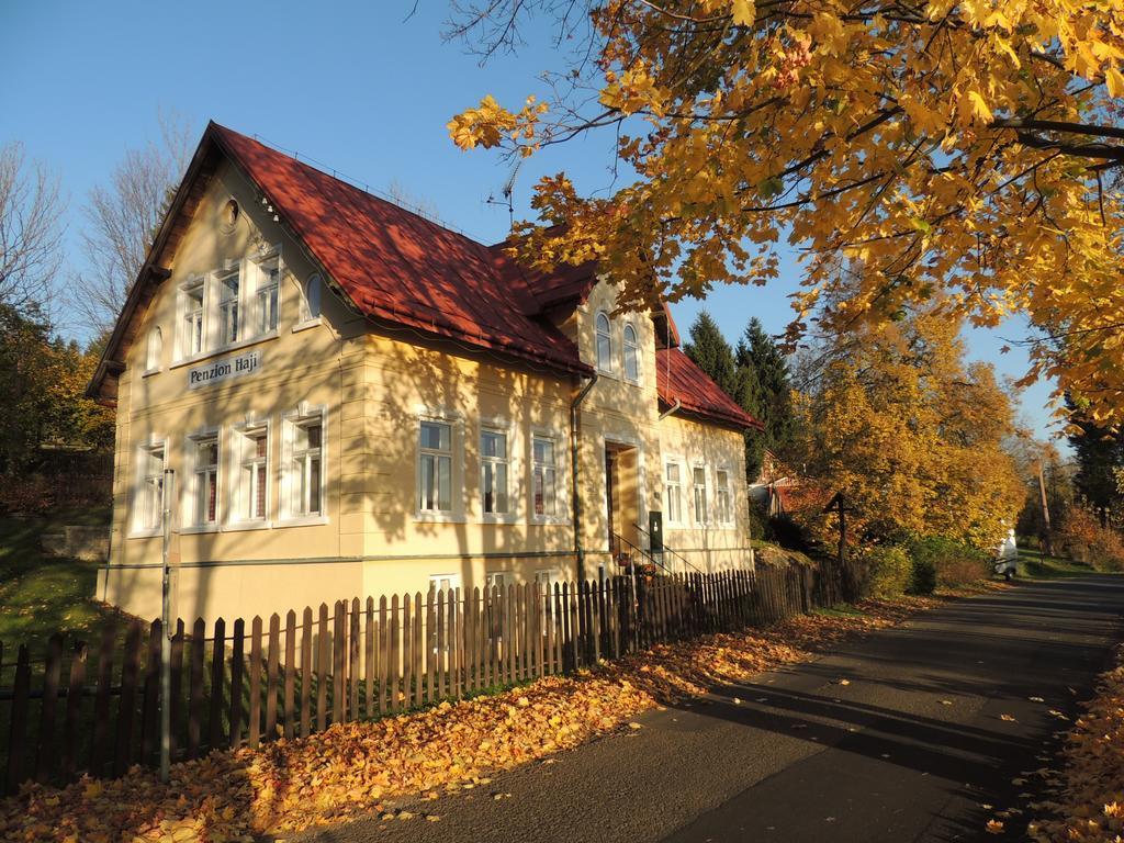 Penzion Haji Janov nad Nisou Zewnętrze zdjęcie