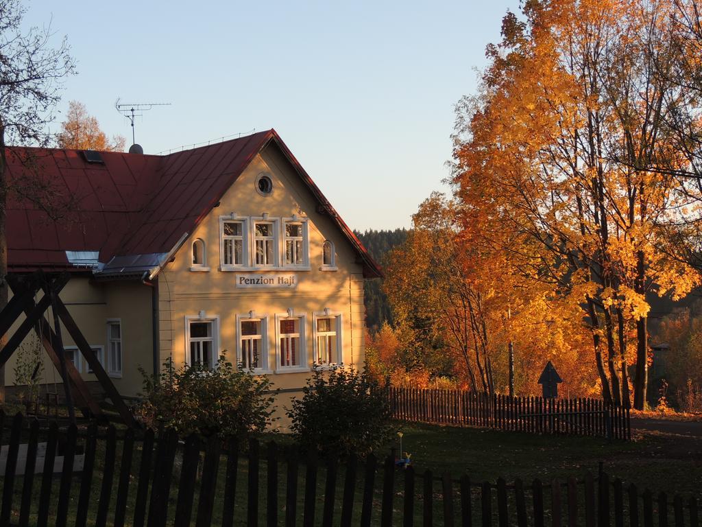 Penzion Haji Janov nad Nisou Zewnętrze zdjęcie